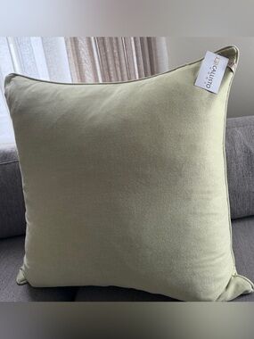 Callisto Home Sage Green Velvet Square Pillow